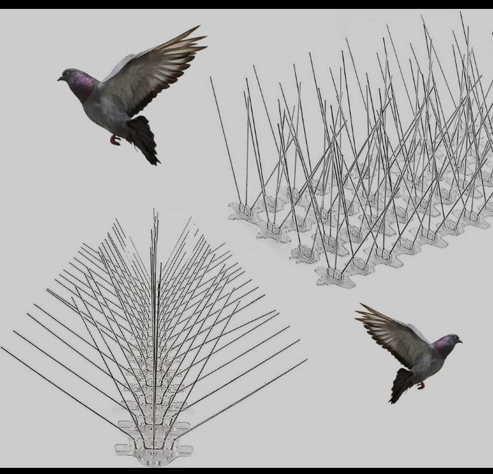 Bird Spikes Installation service
