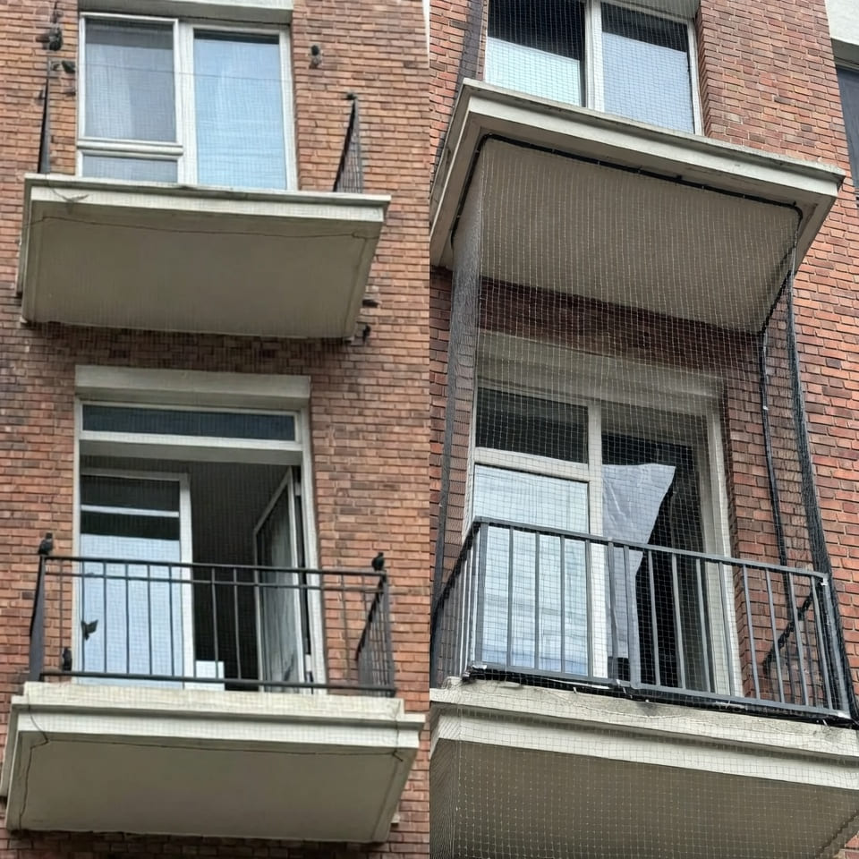 pigeon net installation service